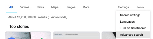 Screen Shot Advanced Google PDF Search