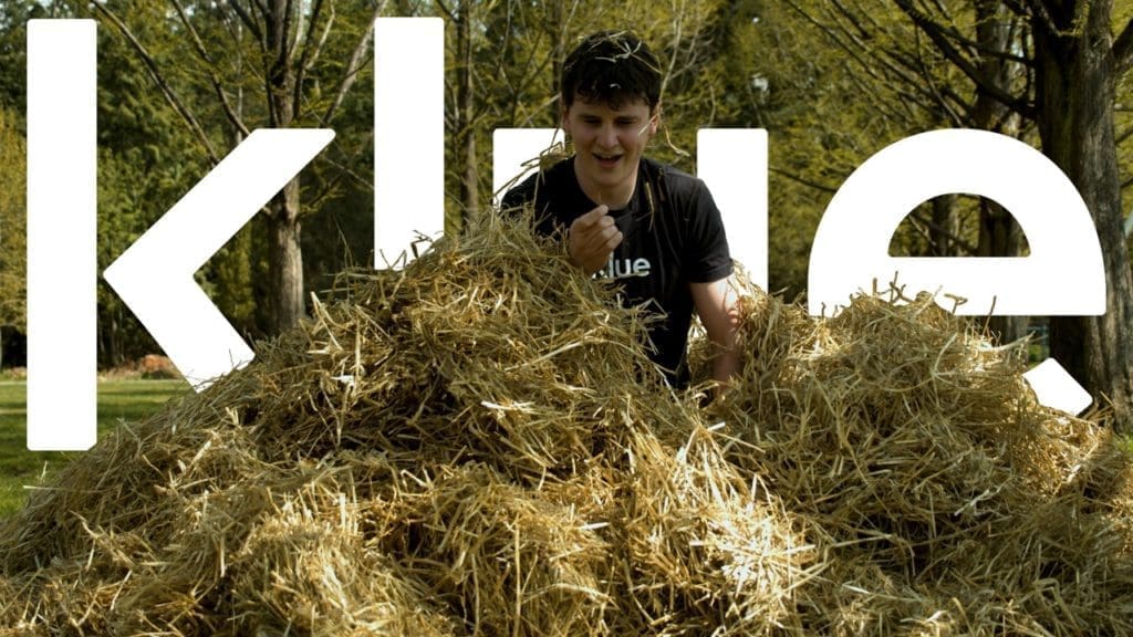 needle in a haystack